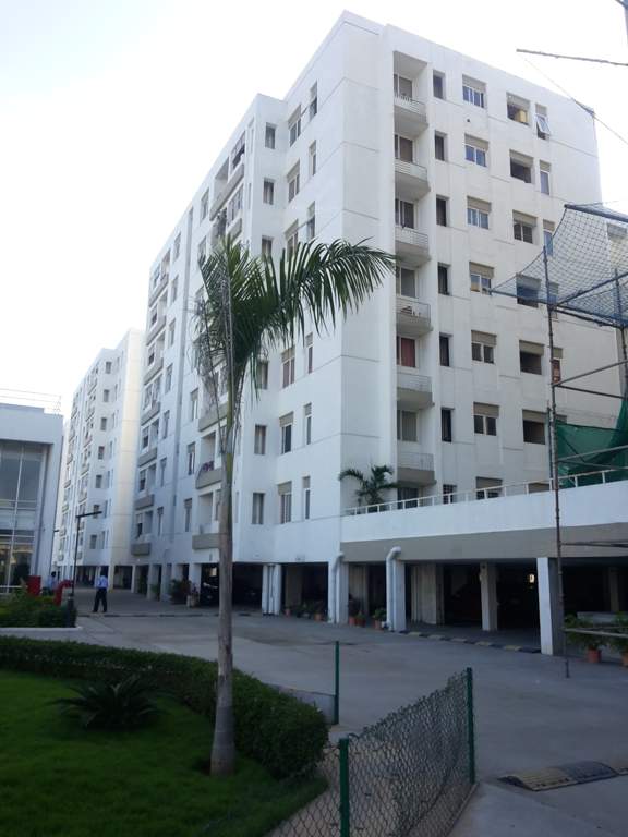  lumina Images for Project