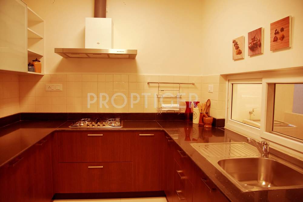  swanlake Images for Main Other of Emami Swanlake