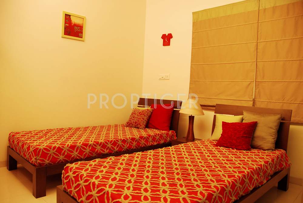  swanlake Images for Main Other of Emami Swanlake