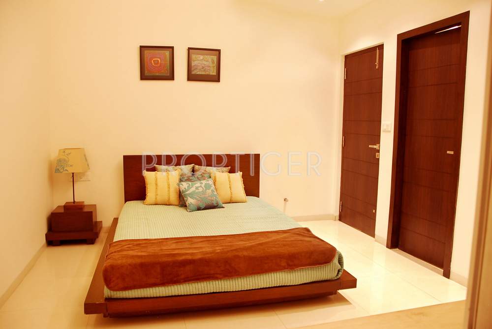  swanlake Images for Main Other of Emami Swanlake