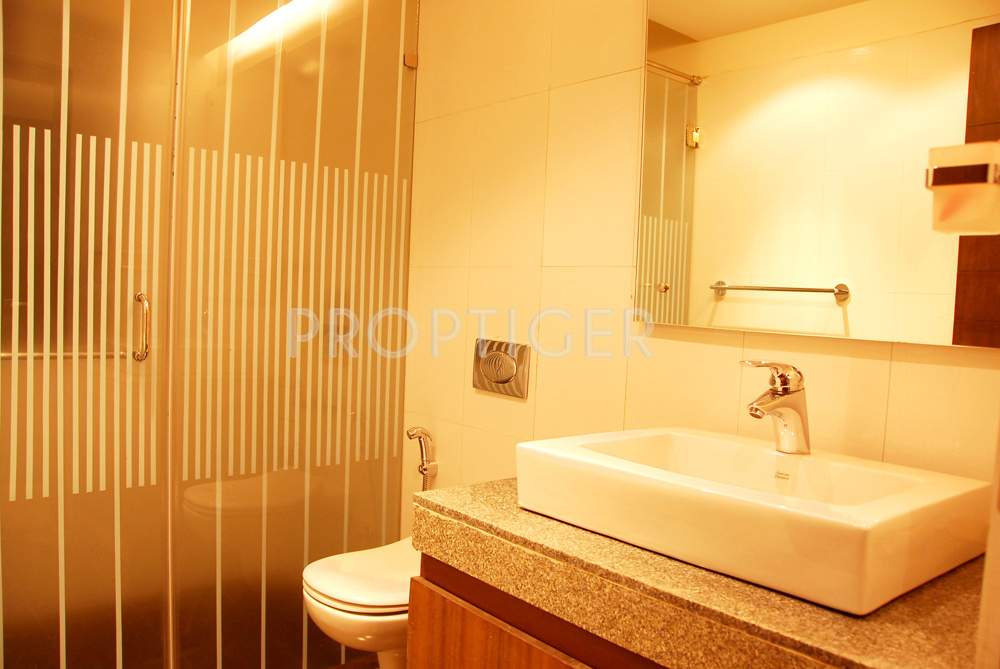  swanlake Images for Main Other of Emami Swanlake