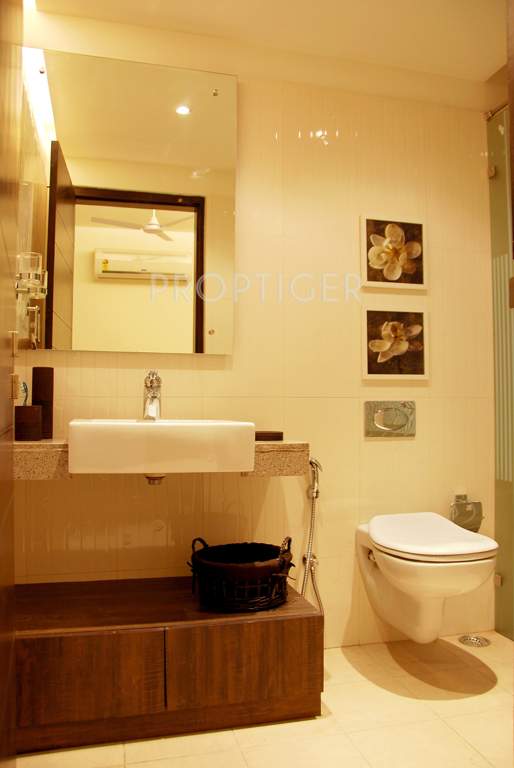  swanlake Images for Main Other of Emami Swanlake