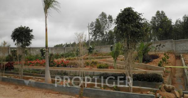 Images for Main Other of Focus Viveka Ashraya