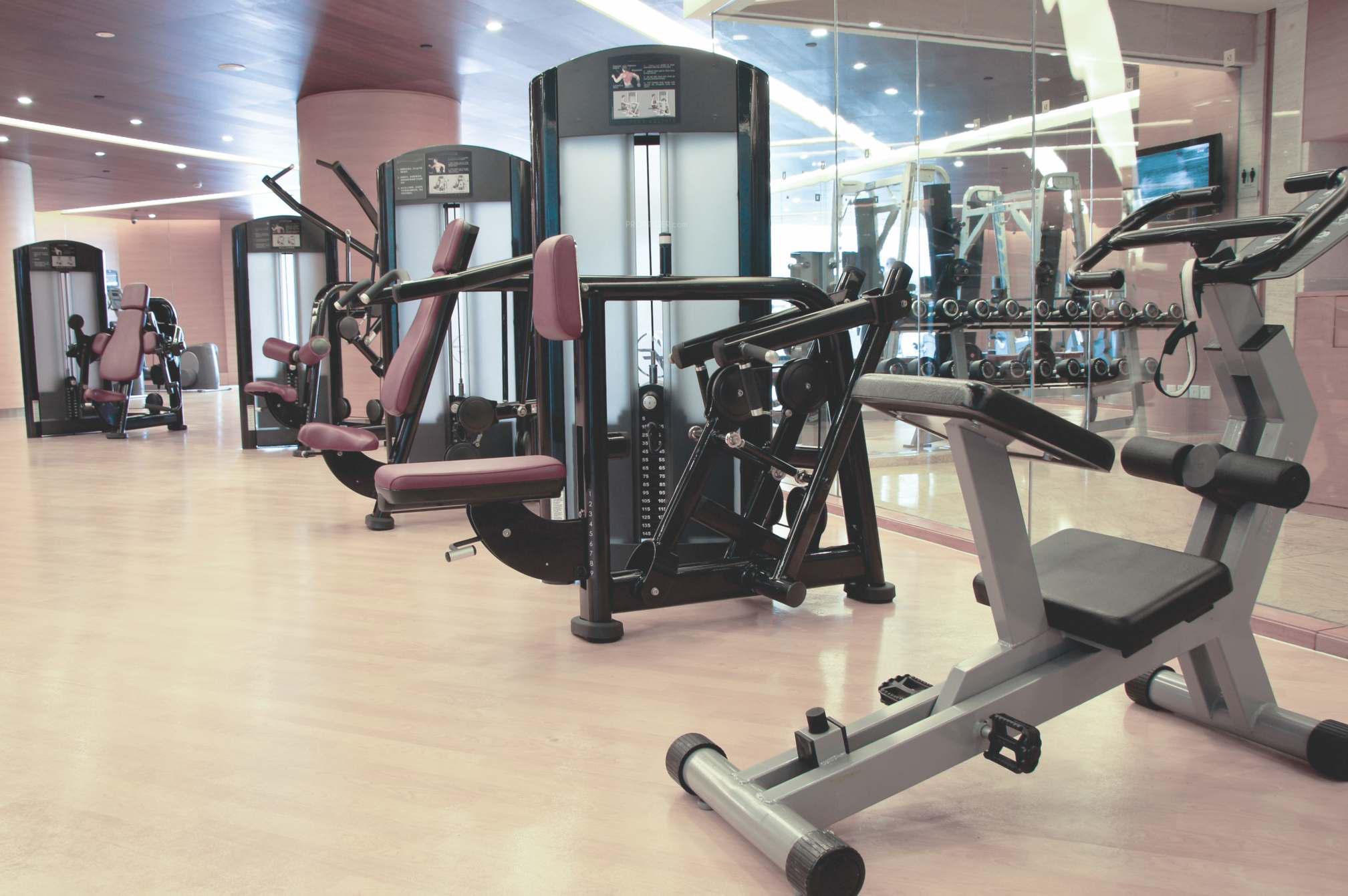 Images for Amenities of Supreme Vivero