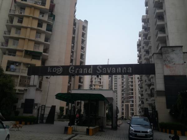  grand-savanna Images for Project