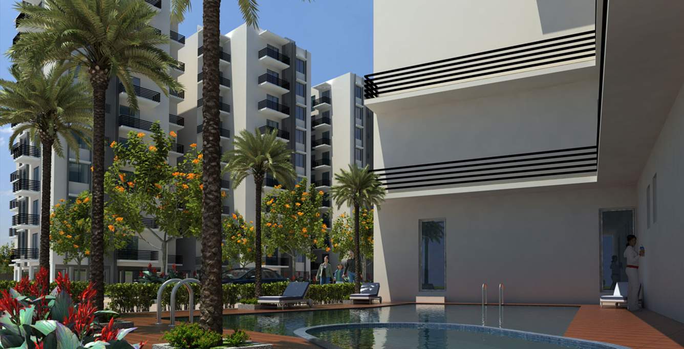 kingdom Images for Elevation of Definer Kingdom