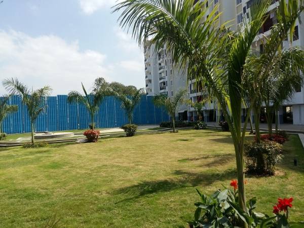 amenities of Definer Kingdom