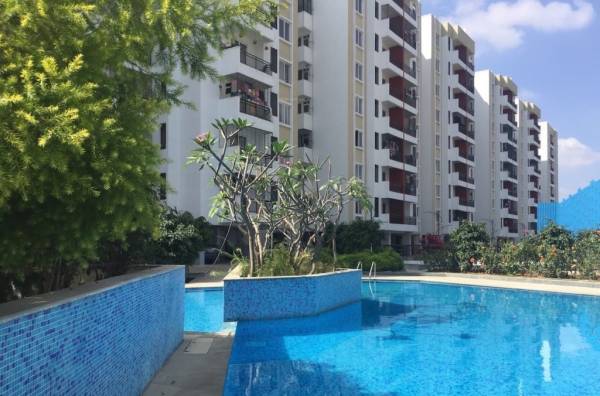  kingdom Swimming Pool