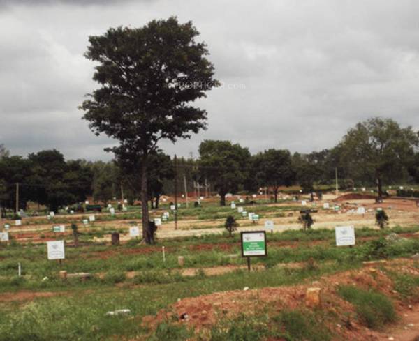 Images for Elevation of S2 Avani