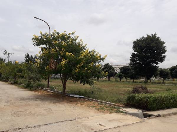  avani Images for Project