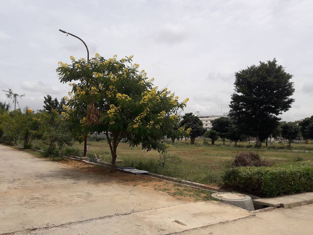  avani Images for Project