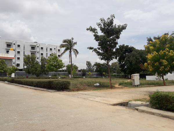  avani Images for Project