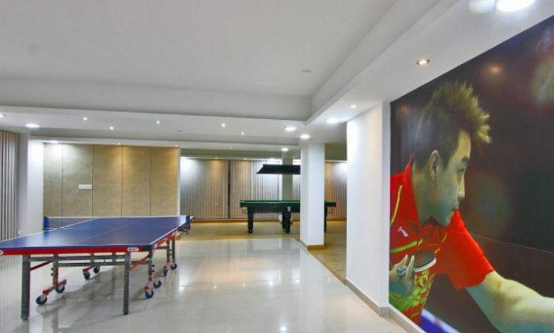  rainbow Table Tennis