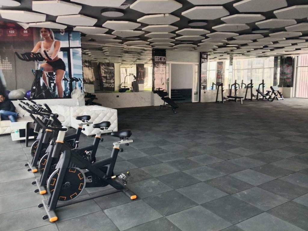  oasis grandstand Gymnasium