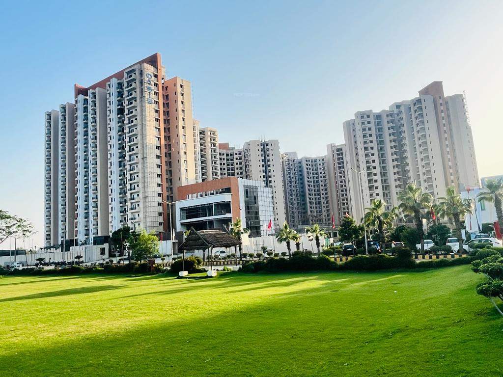  oasis grandstand Landscape Garden and Tree Planting