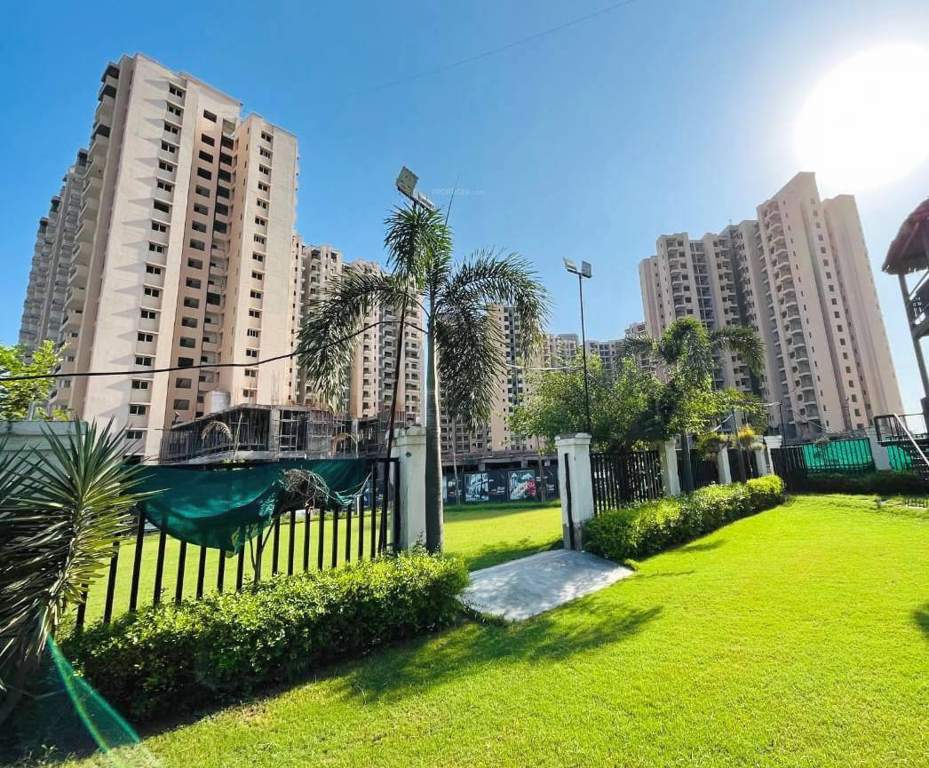  oasis grandstand Landscape Garden and Tree Planting