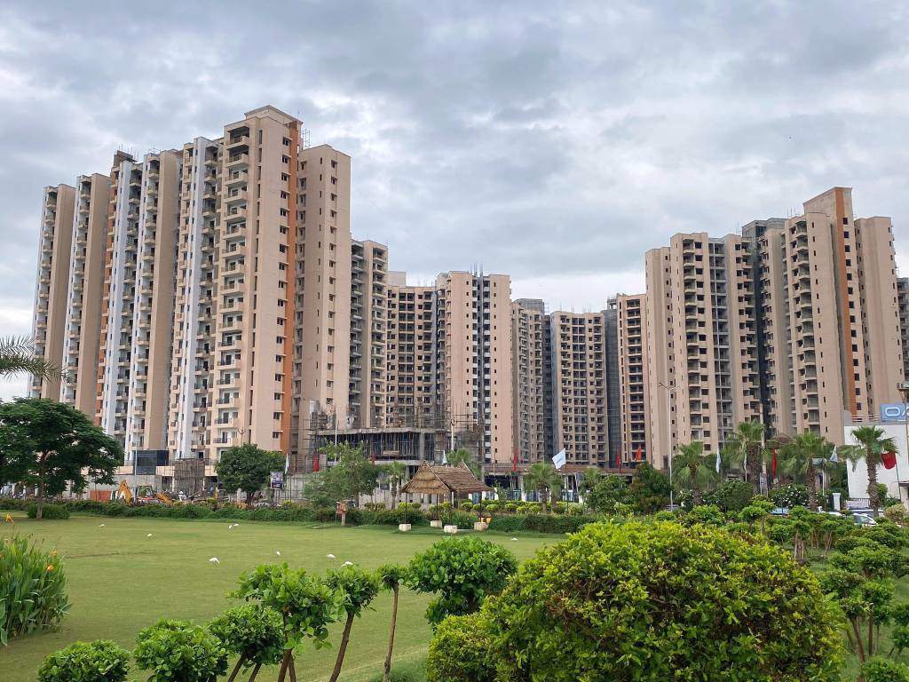  oasis grandstand Landscape Garden and Tree Planting