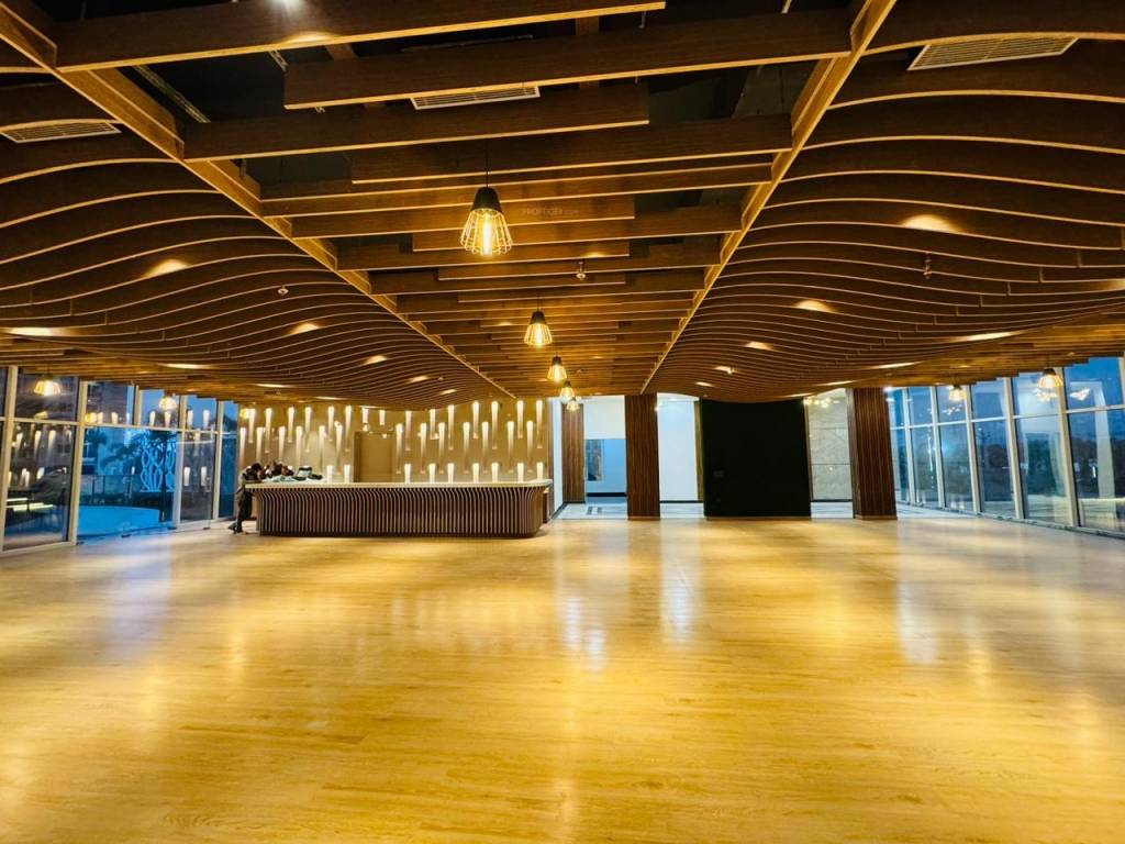  oasis grandstand Others