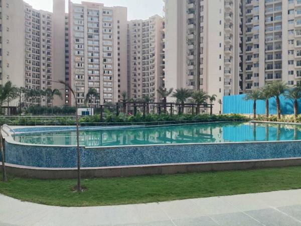 Swimming Pool oasis-grandstand Swimming Pool