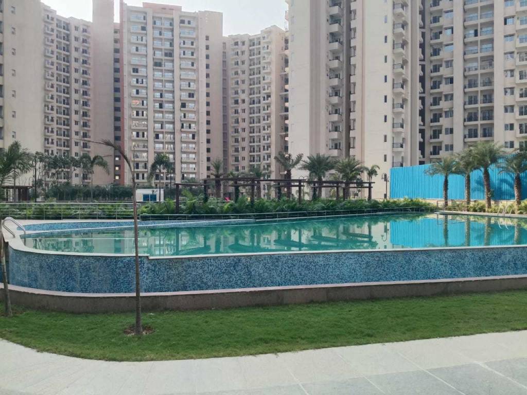  oasis grandstand Swimming Pool