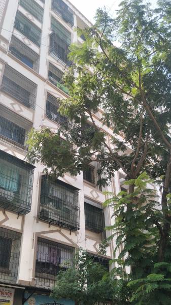  green-woods Images for Project