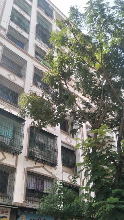  green woods Images for Project