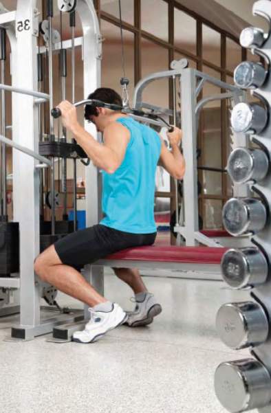 landcraft the center court Gymnasium