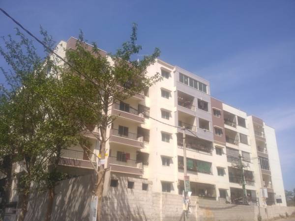 Elevation orchid Elevation