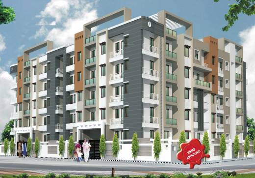 orchid Elevation Elevation