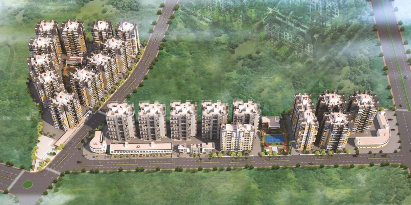 orchid Images for Elevation of Tanish Tanish Orchid