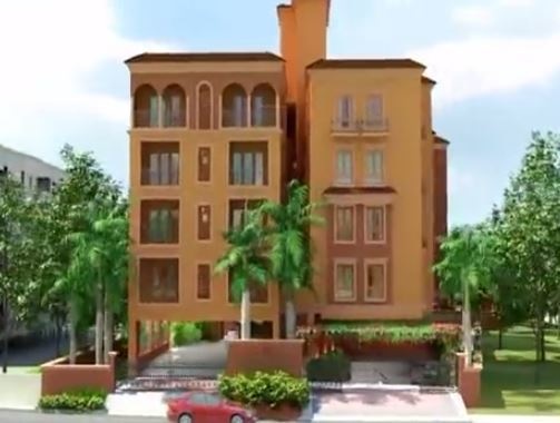 Elevation mandarina Elevation