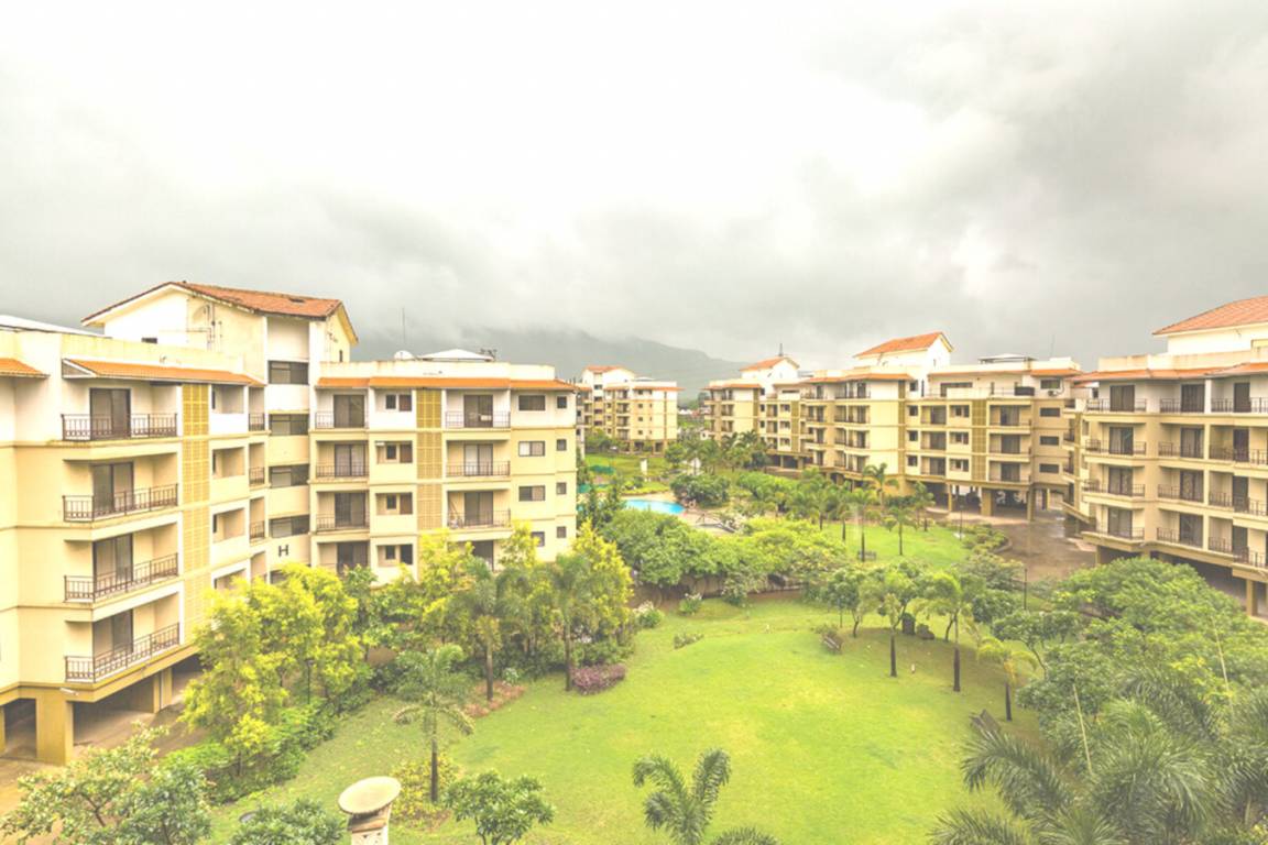 casablanca Images for Project