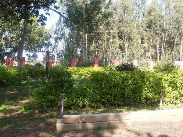 Images for Main Other of NAG Bricks and Boundarries