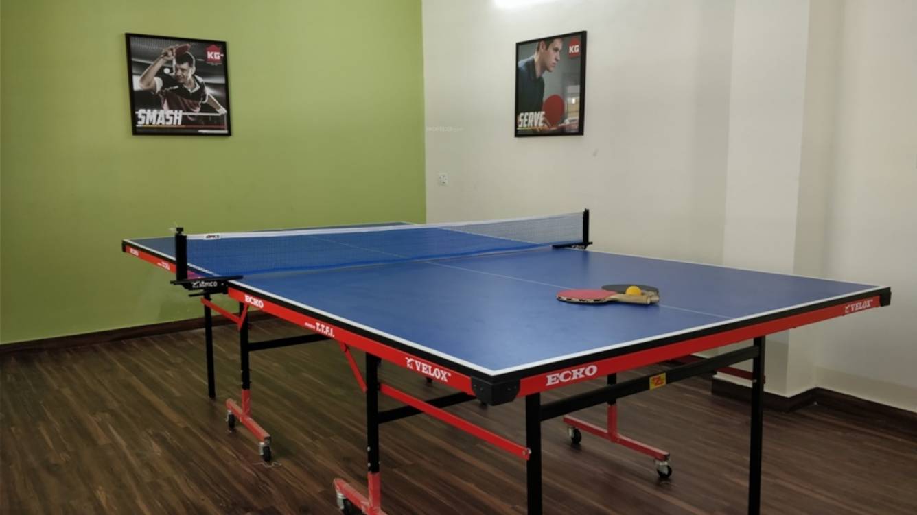 earth homes Table Tennis