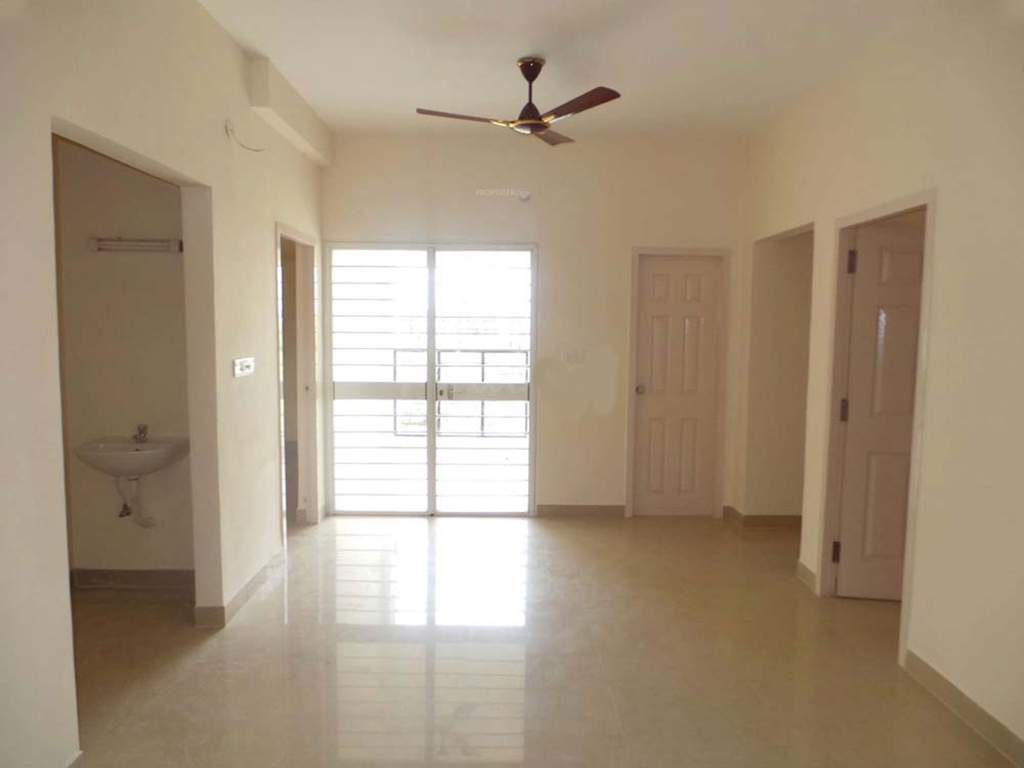  sps brownstar Images for Main Other of Brownstar SPS Brownstar