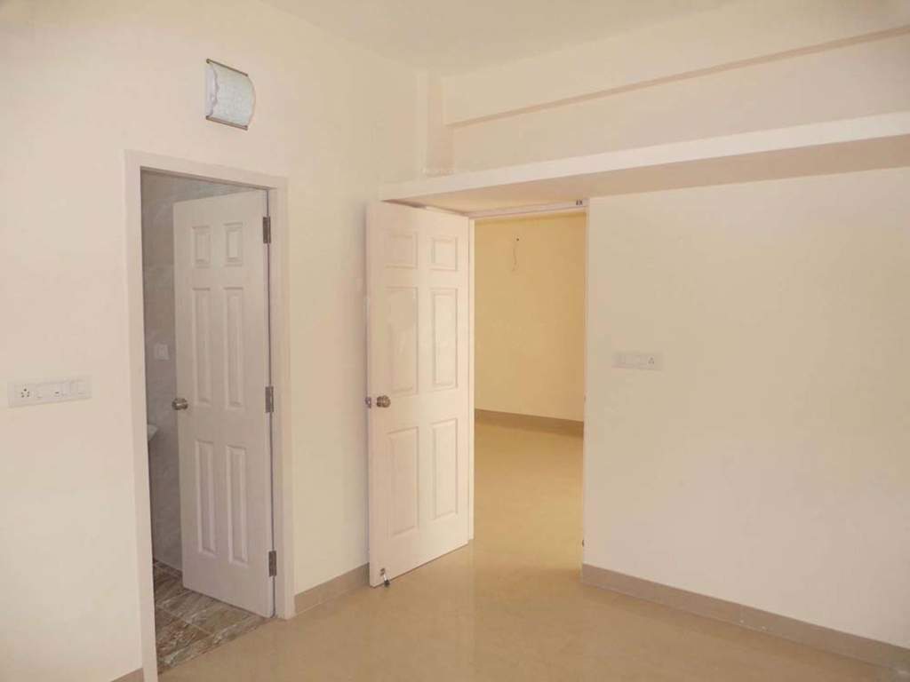  sps brownstar Images for Main Other of Brownstar SPS Brownstar