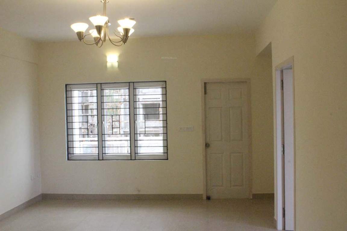  sps brownstar Images for Main Other of Brownstar SPS Brownstar