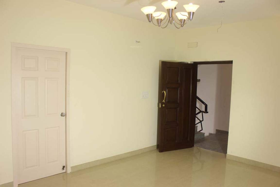  sps brownstar Images for Main Other of Brownstar SPS Brownstar