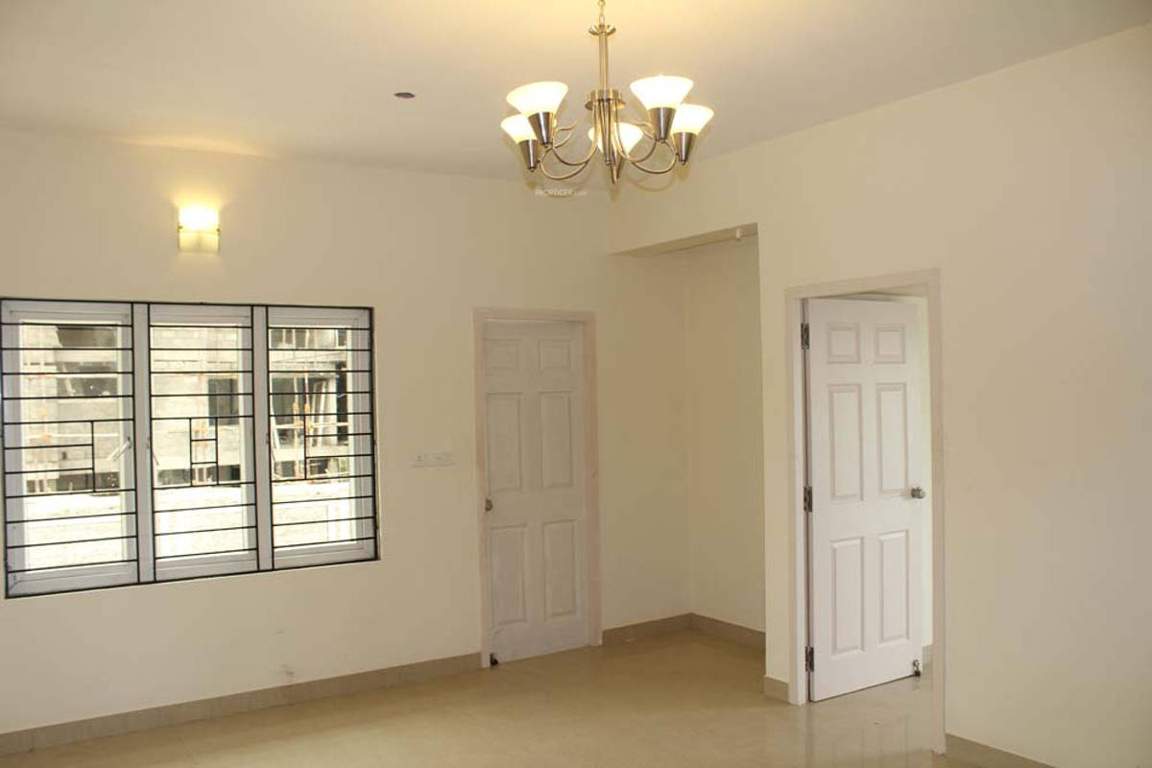  sps brownstar Images for Main Other of Brownstar SPS Brownstar