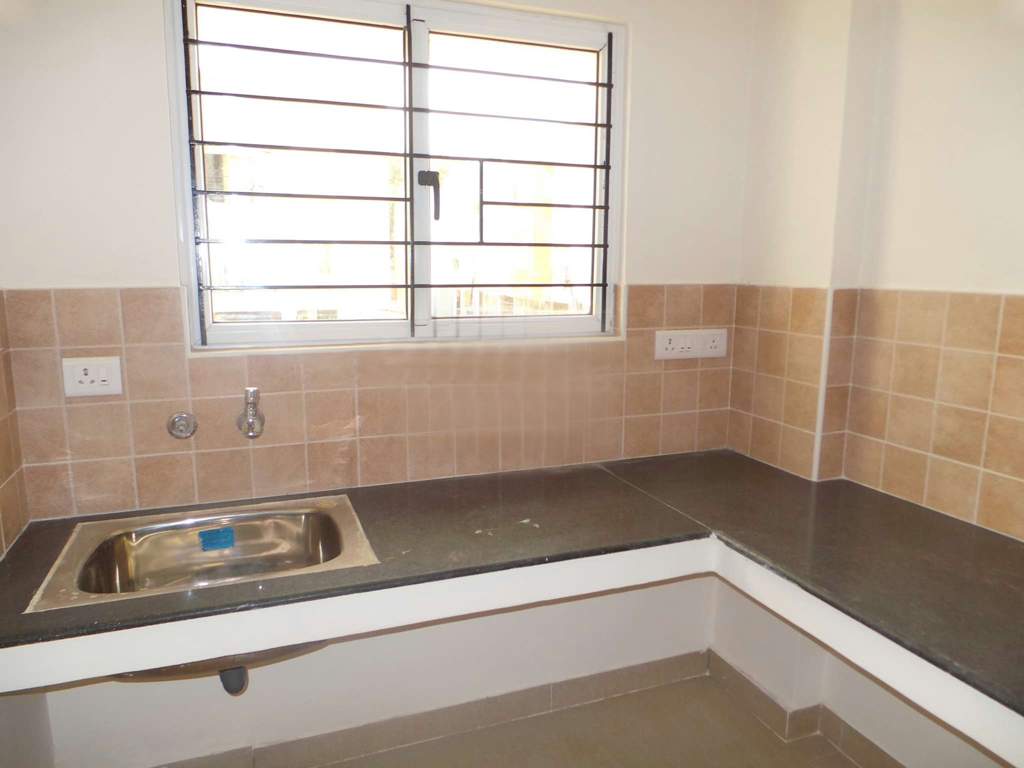  sps brownstar Images for Main Other of Brownstar SPS Brownstar