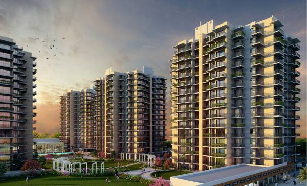 Elevation auria Elevation