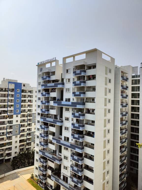  uber verdant Elevation