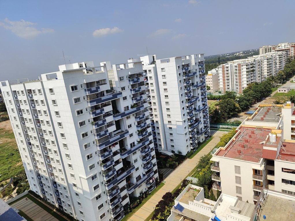  uber verdant Elevation