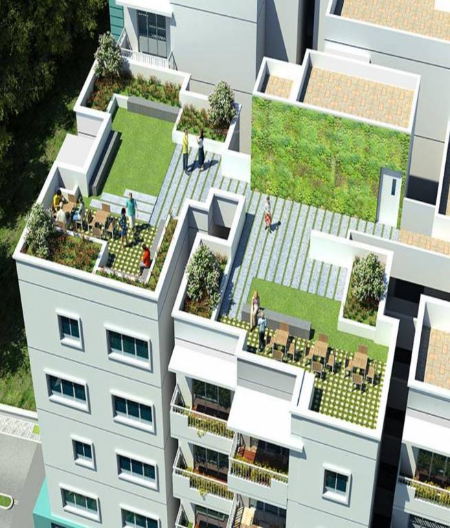  uber verdant Elevation