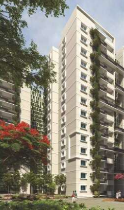  uber verdant Elevation