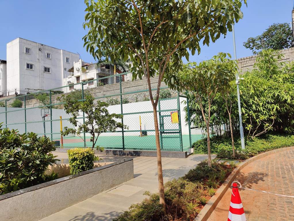  uber verdant Basketball Court