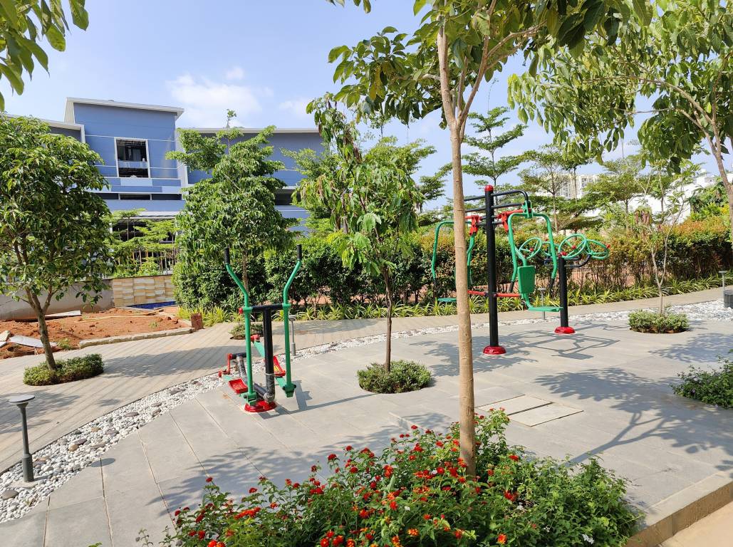  uber verdant Gymnasium