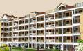 Jain Farms Sukhshanthi