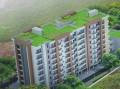 Mittal Builders Palms