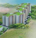 Elevation  palms Elevation